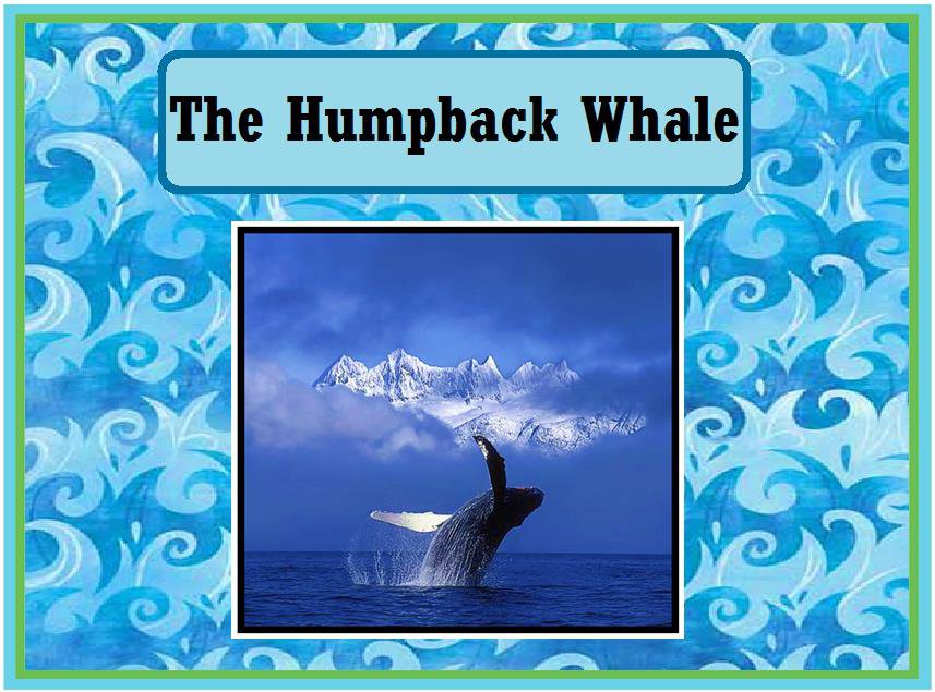The Humpback Whale - Loving2Read